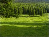 Kraljev hrib - Planina Rzenik